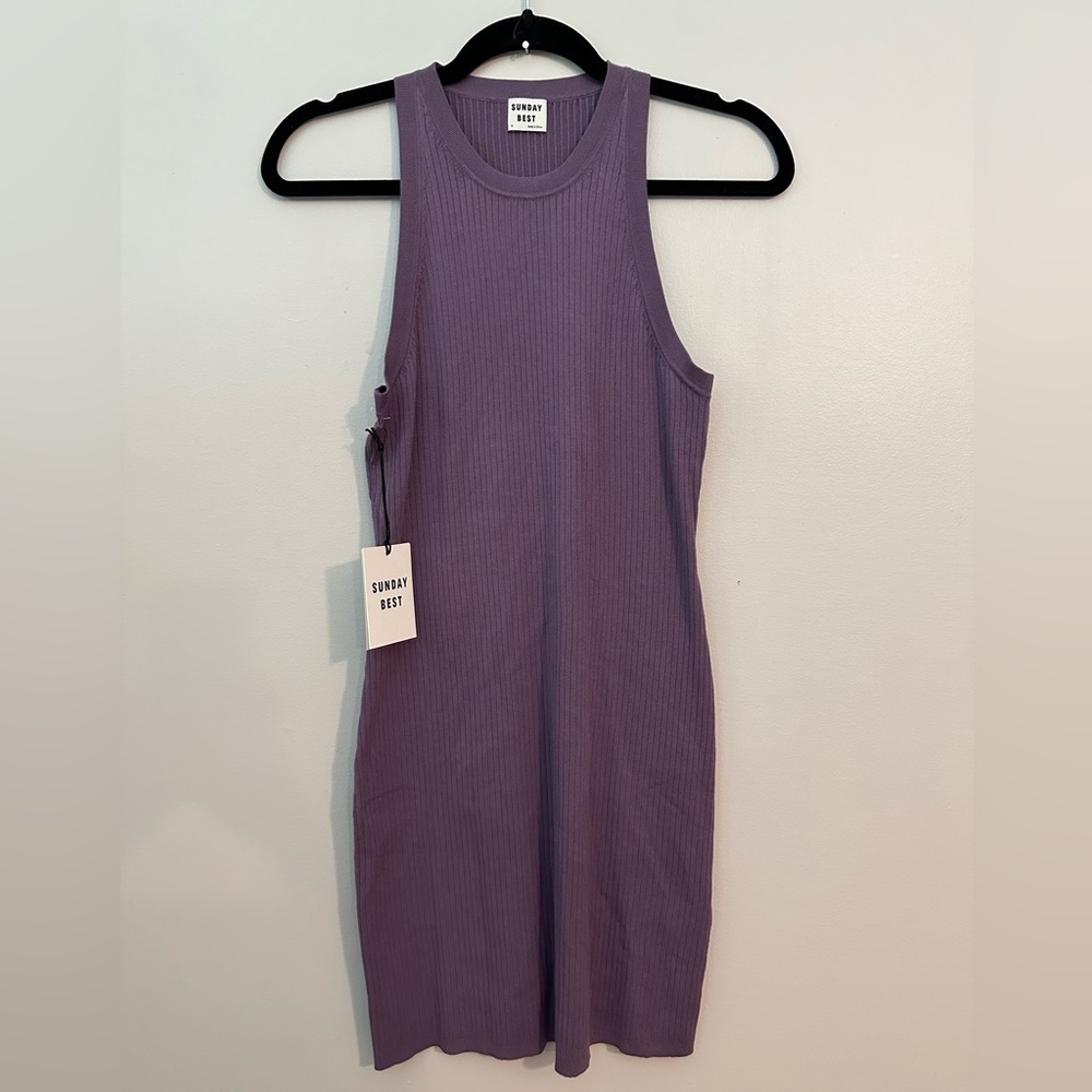Aritzia Sunday Best Purple Mini Dress